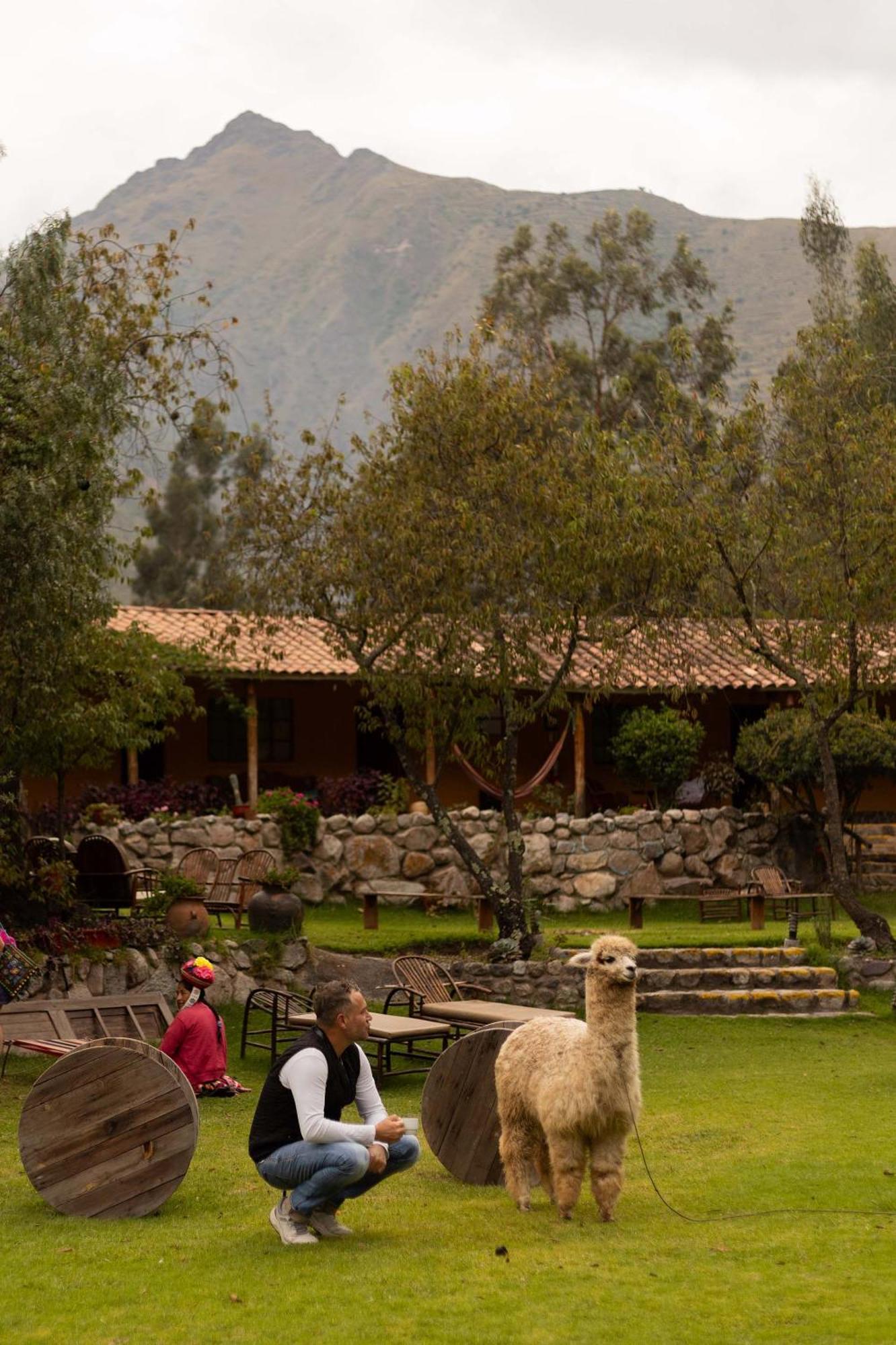 אורובמבה Andean Wings Valley מראה חיצוני תמונה